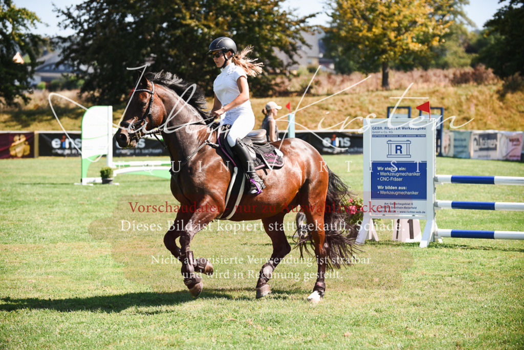 DSC_2721 | Pferde- und Turnierfotografie in Westsachsen. Pferdeportraits, Auftragszeichnungen und intuitive Kunst.