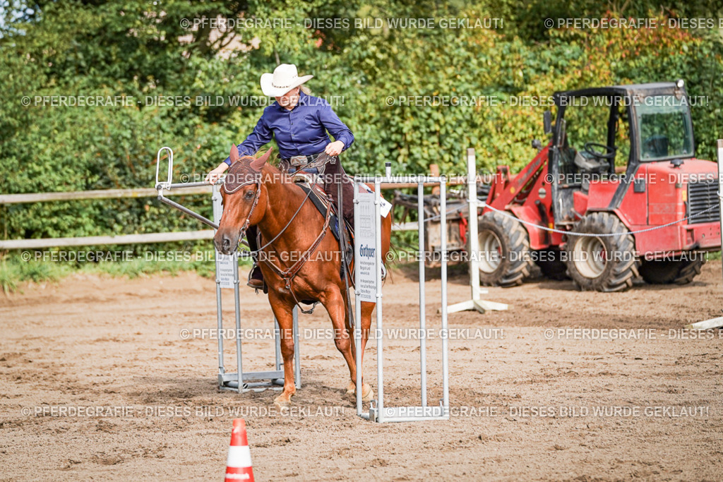 DSC00247 | Pferdegrafie