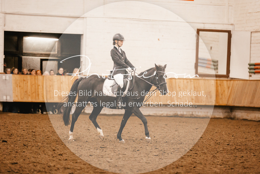 3I6A3950 | Stimmungsvolle Portraits und Reitsportfotografie im Ruhrgebiet und im Münsterland.

Pferdefotografie, Hundefotografie, Tierfotografie, Reportagen, Portraits von Tier und Mensch, Turnierfotografie in Bochum, Recklinghausen, Marl, Haltern am See, Dülmen.. - Realisiert mit Pictrs.com