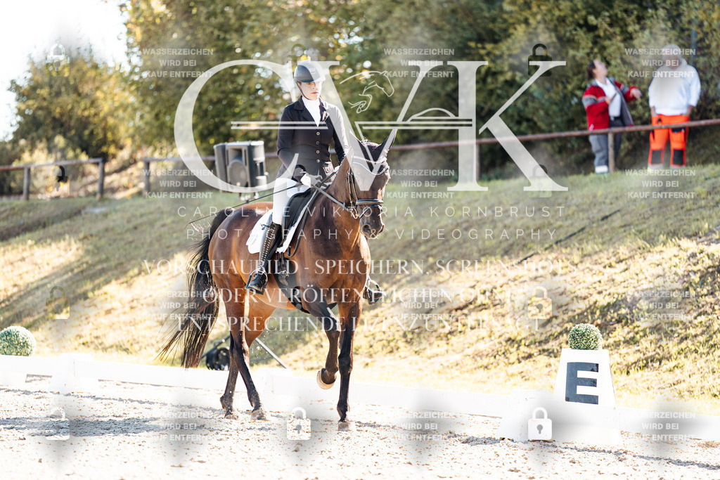 CK908739 | Turnierfotografie Pferdefotografie Trier Rheinland-Pfalz Pferdesport Reitsport Tierfotografie Sportfotografie Pferdevideo Pferdevideografie Equestrianvideography equestrianphotography  - Realisiert mit Pictrs.com