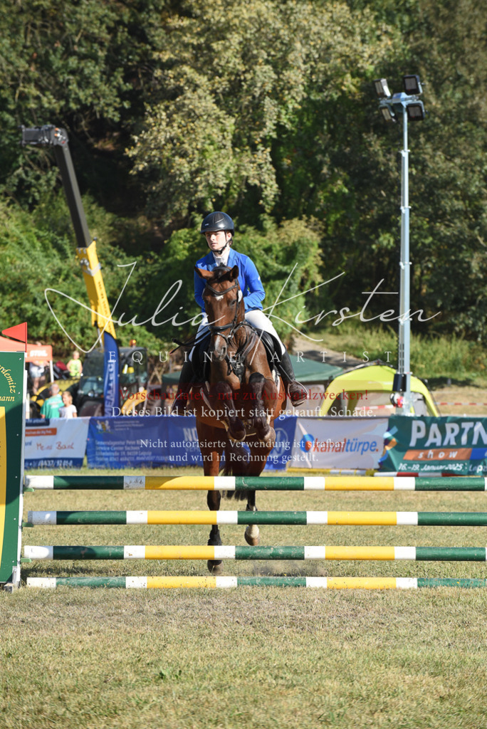 DSC_5303 | Pferde- und Turnierfotografie in Westsachsen. Pferdeportraits, Auftragszeichnungen und intuitive Kunst.
