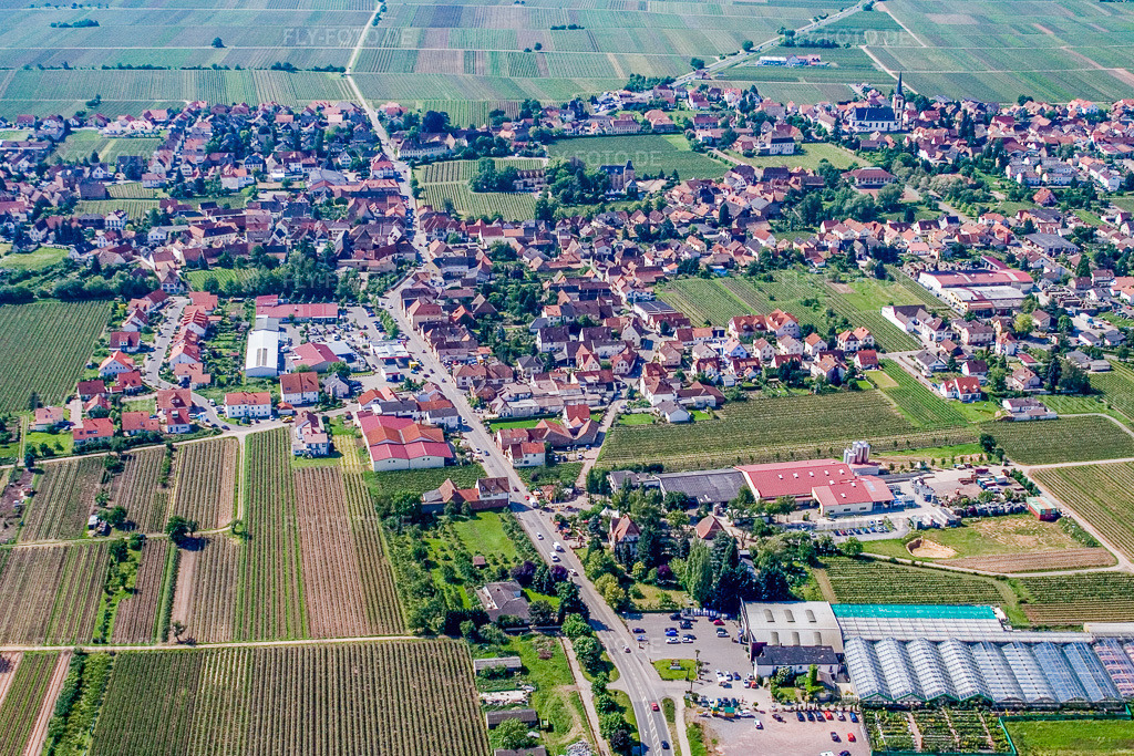 Luftbild: Ort in den Weinbergen von Norden in Edesheim im Bundesland Rheinland-Pfalz in Deutschland. Foto: IMG_2191.jpg vom 03.06.2006 durch Werner Riehm/FLY-FOTO.de