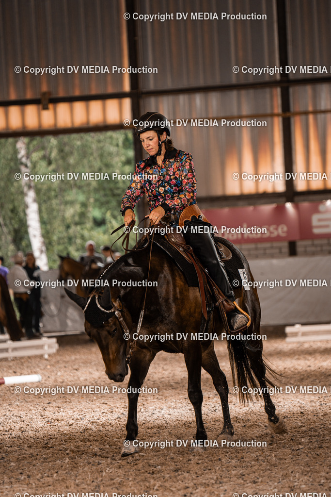 ZH200635 | dv-media-shop - Realisiert mit Pictrs.com