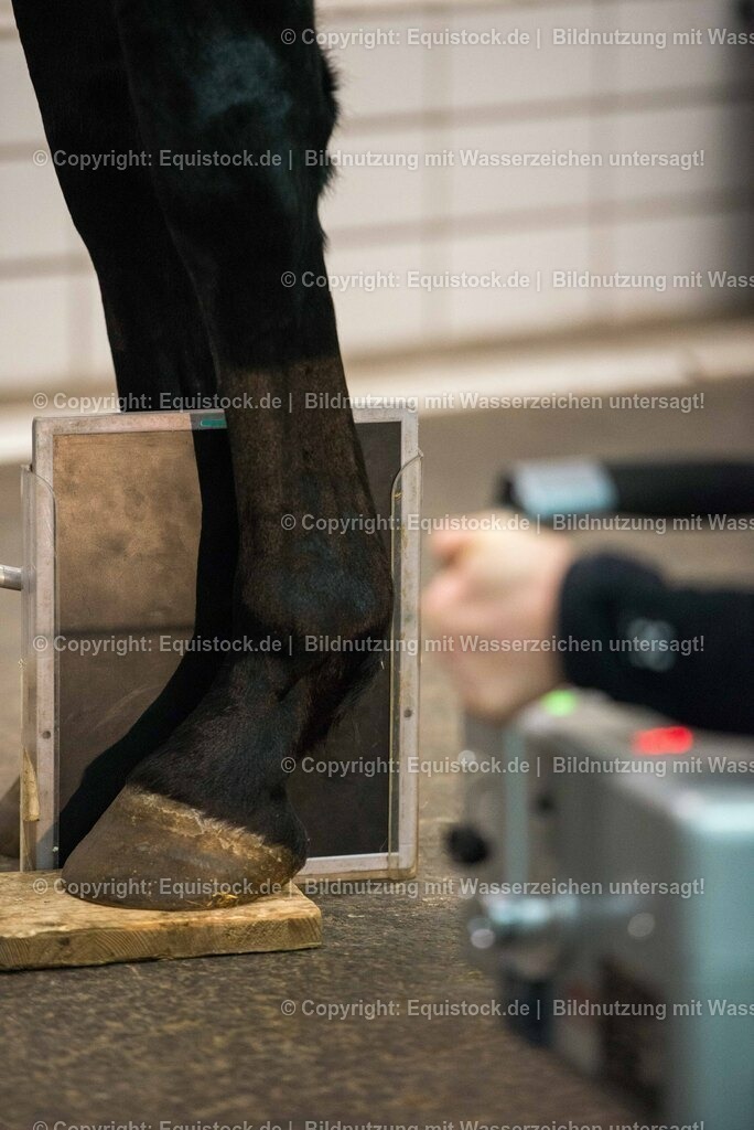 20170113_R__ntgen_0021 | Foto: Thomas Hartig