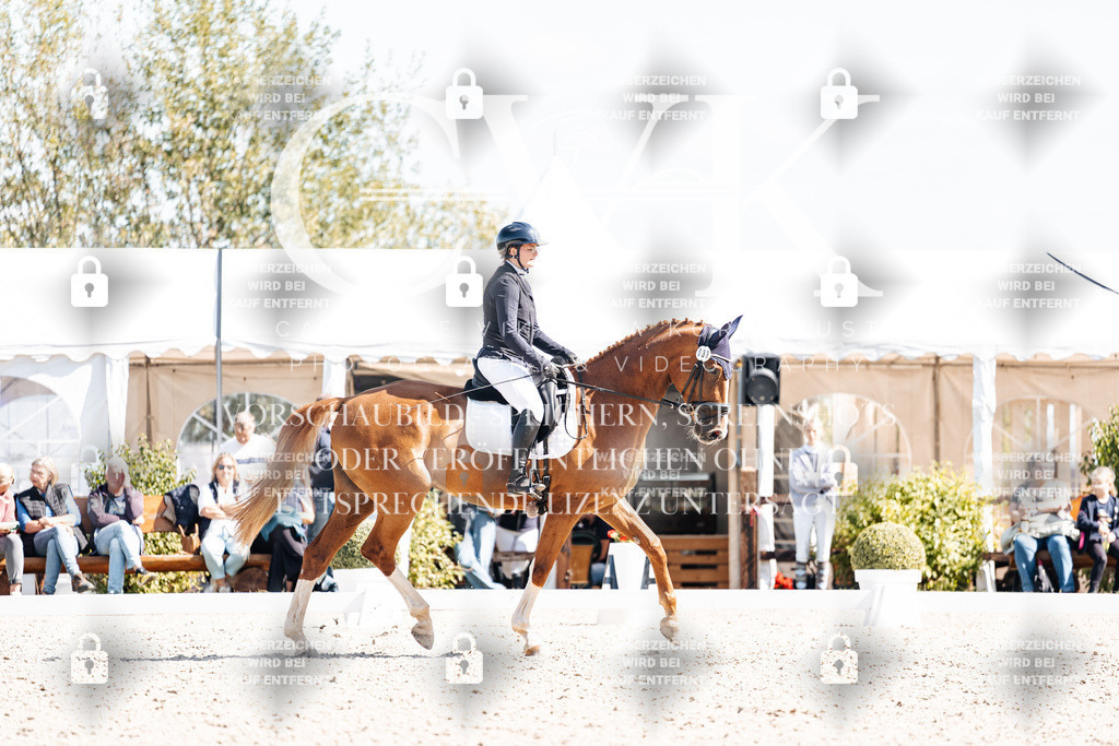 CK903252 | Turnierfotografie Pferdefotografie Trier Rheinland-Pfalz Pferdesport Reitsport Tierfotografie Sportfotografie Pferdevideo Pferdevideografie Equestrianvideography equestrianphotography  - Realisiert mit Pictrs.com
