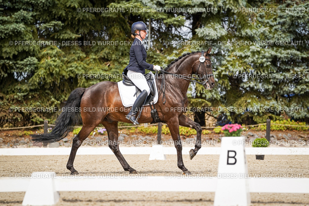 DSC05986 | Pferdegrafie