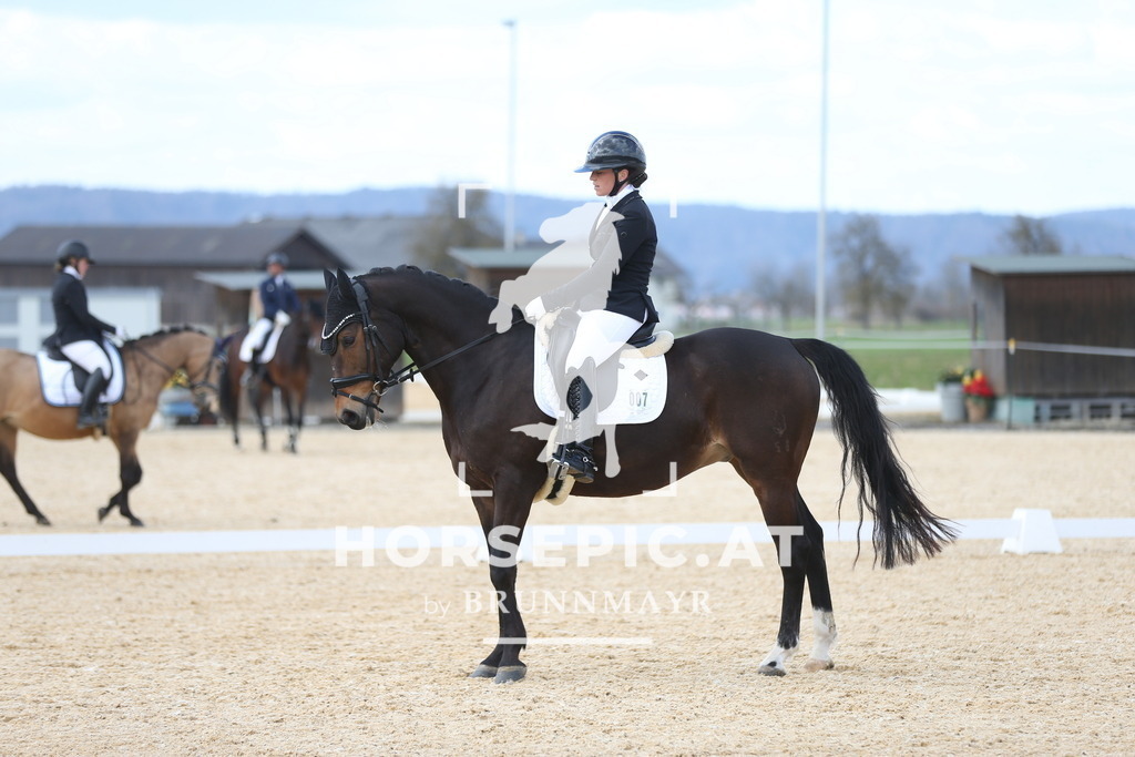 AS8V1470 | Willkommen bei Brunnmayr - Design & Fotografie – Ihrem Spezialisten für Reitturniere und Pferdeveranstaltungen in Oberösterreich, Salzburg und Bayern! Seit über 17 Jahren sind wir leidenschaftlich dabei.