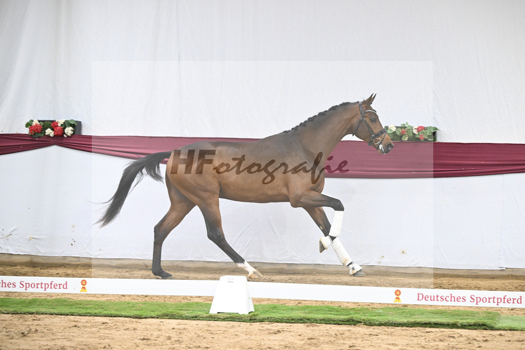 Kat-Nr. 43 Va Pensiero x Secret_Philipp Stuppert_47251520 | hf-fotografie - Realisiert mit Pictrs.com