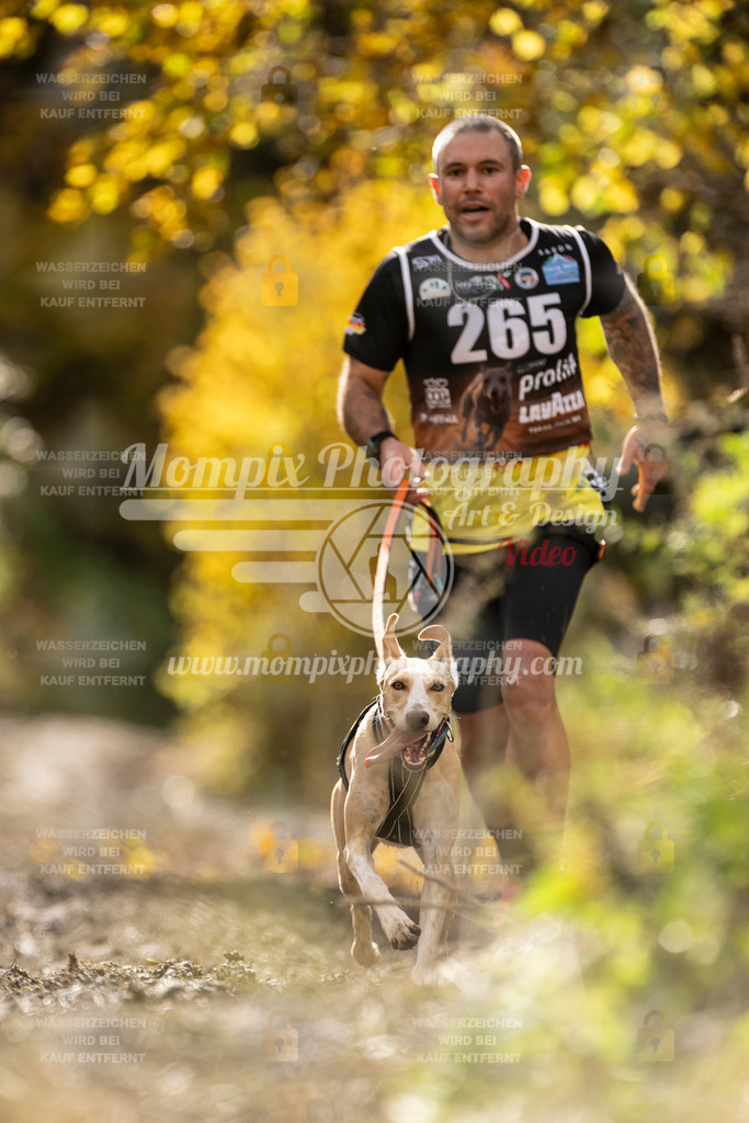 MompixPhotography_ICF_WC_2024_SA_Run_-81 | PayLife