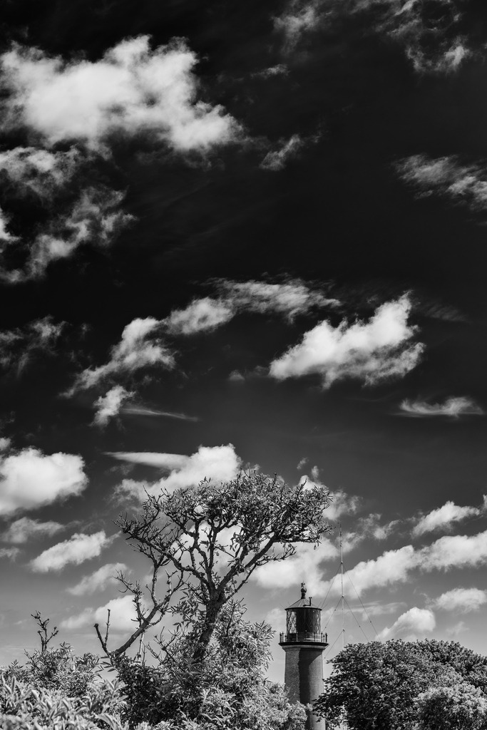 2025_07_09_FEHMARN-LEUCHTTURM+SCHMETTERLINGE_MCP8868 sw | Hochwertig gedruckte Fotografien für die Wand, als Kalender und zum Verschenken. Hamburg & Norddeutschland und überall wo ich mit der Kamera unterwegs war.