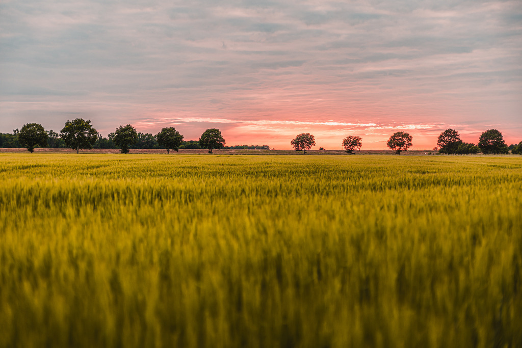 Heimat | FI-LO Bildershop – Entdecken Sie beeindruckende Fotografie und inspirierende Videoproduktionen. Tauchen Sie ein in faszinierende Welten und lassen Sie sich von meinen einzigartigen Werken auf eine emotionale Reise mitnehmen. Perfekt für Kunstliebhaber und - Realisiert mit Pictrs.com