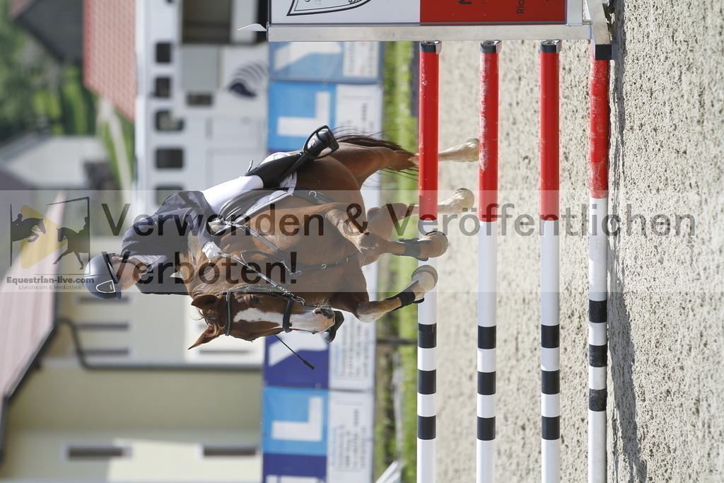 _MG_1992 | equestrian-live-com