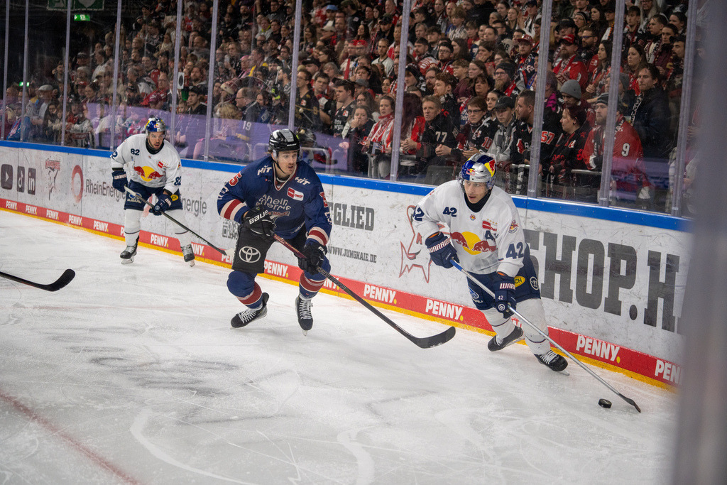 DEL, Deutsche Eishockey Liga Saison 2024/25, 33. Spieltag: Kölner Haie gegen Red Bulls München | 11.10.2024, DEL, Deutsche Eishockey Liga Saison 2024/25, 33. Spieltag: Kölner Haie gegen Red Bulls MünchenBild: - Realisiert mit Pictrs.com