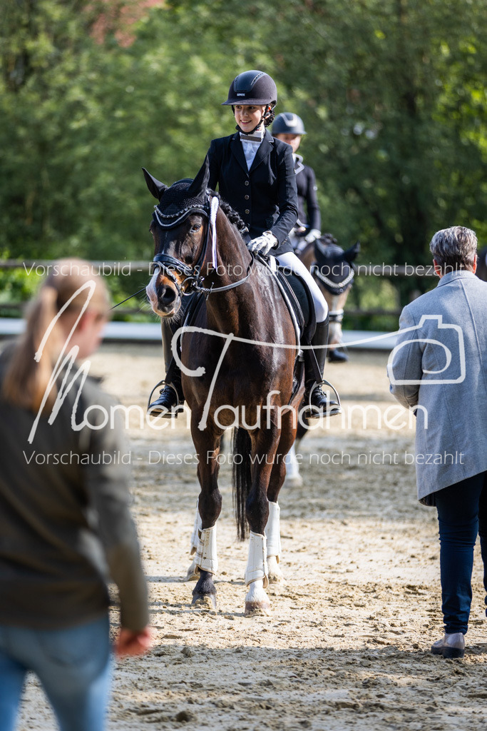 Donop24-A-Dre-153 | MomenTaufnahmen Pferdesportfotos