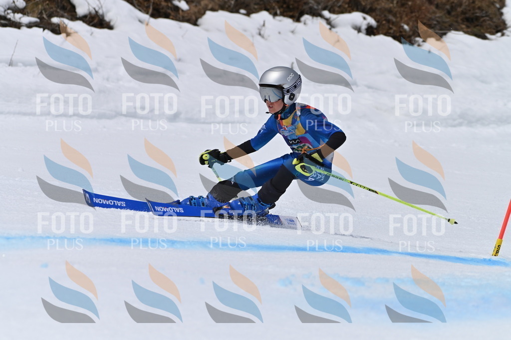 BGV_4441 | holidayphoto