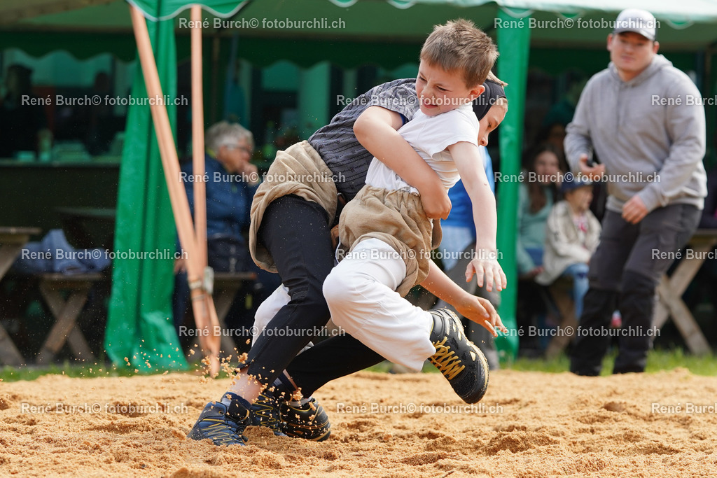 20220423-DSC07875 (2) | René Burch leidenschaftlicher Fotograf aus Kerns in Obwalden.  Hier finden sie Sport, Landschaft und Natur Fotografie.
 - Realisiert mit Pictrs.com