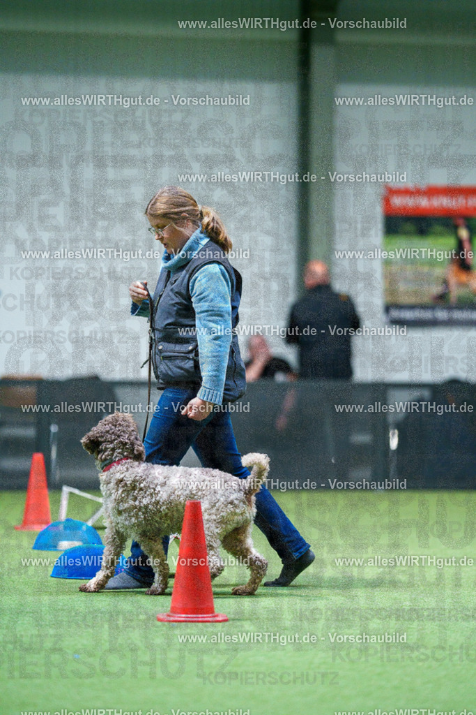 7R503049 | Professionelle Tierfotografie in Mönchengladbach von Daniel Wirth (allesWIRTHgut). Liebevolle & natürliche Bilder von Hunden & Katzen für unvergessliche Erinnerungen.