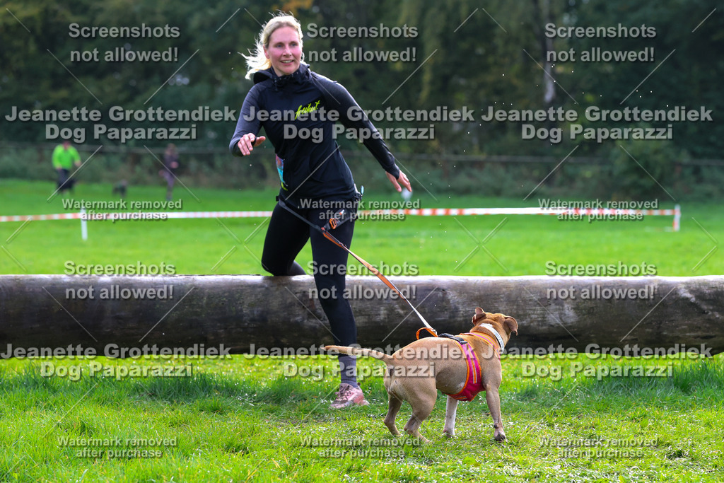 Dog Paparazzi -  SD1026-2179 | Dog Paparazzi Jeanette Grottendiek Fotografie & Videografie - Realisiert mit Pictrs.com
