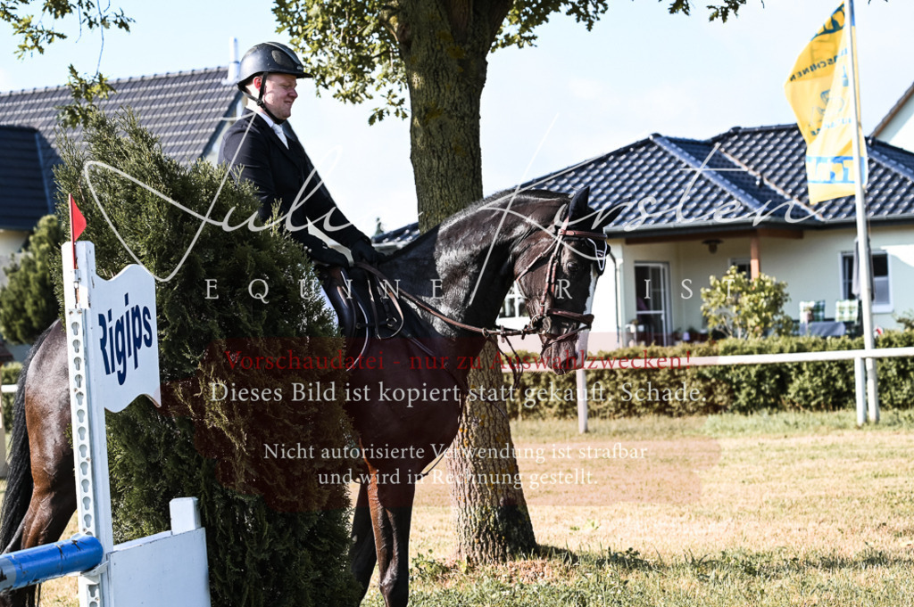 DSC_7514 | Pferde- und Turnierfotografie in Westsachsen. Pferdeportraits, Auftragszeichnungen und intuitive Kunst.
