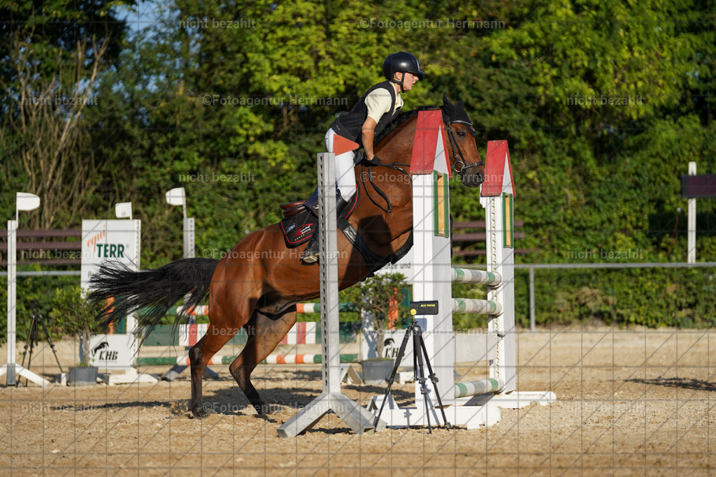 20240824-FAH08778 | Thierhaupten 2024, Bayerisches Landesponyturnier, Turnierbilder, Ponybilder, Turnierfotografen Bayern, Fotoagentur Herrmann