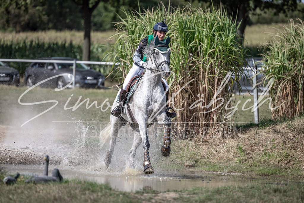 20250907-_3LI1708 | Tierfotografie Pferde, Hunde, Katzen, Haustiere.
Turnierfotografie Reitturniere, Reiten, Springreiten, Dressur in Hanau, dem Main-Kinzig-Kreis und dem Rhein-Main- Gebiet um Frankfurt