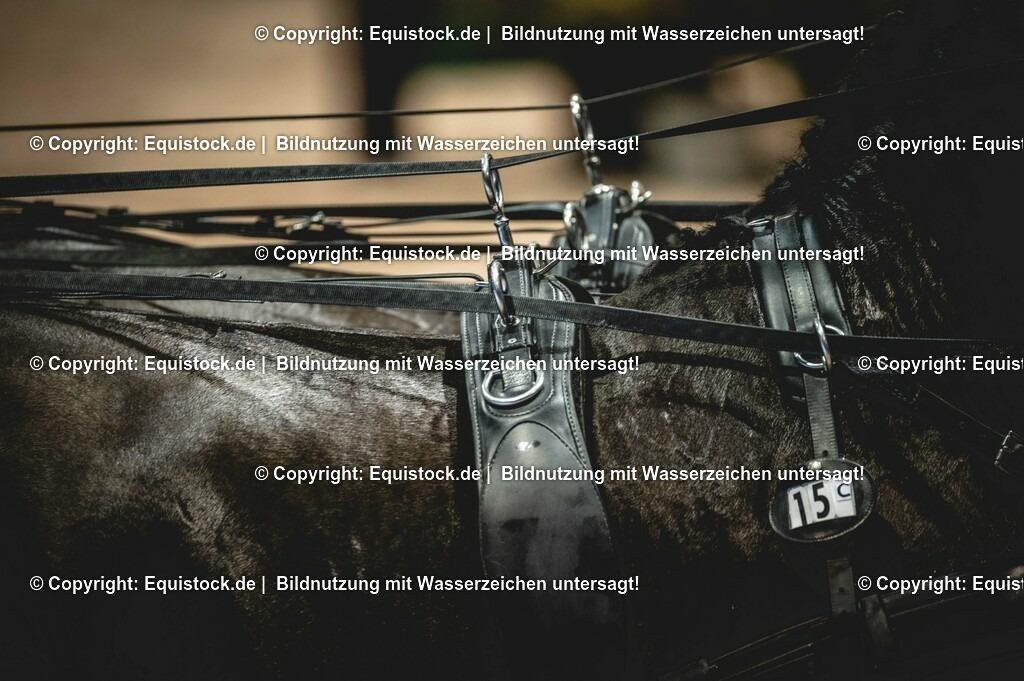 20240203_FEI-Driving-World-Cup_0015 | Foto: Thomas Hartig