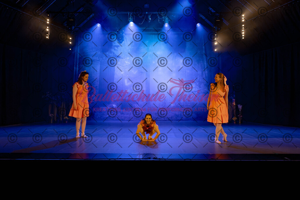 Ballettaufführung-518 | Bildershop Lem'n Entertainment - Realisiert mit Pictrs.com
