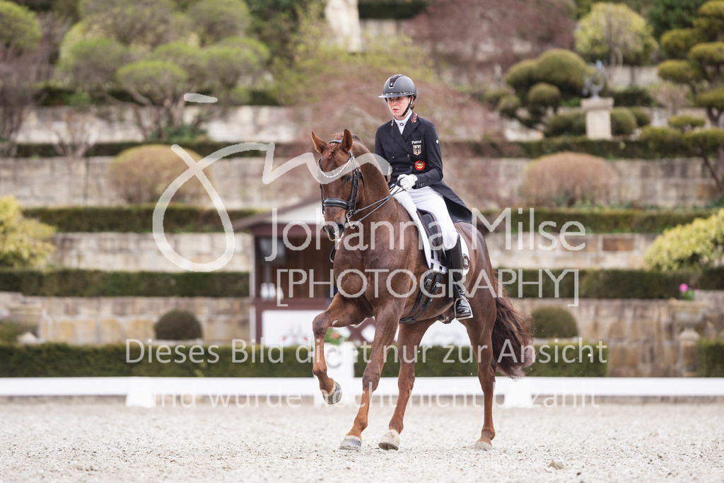 260412_Kronberg_S-Dressur-621 | Deine schönsten Turniermomente als professionelle Fotos! Entdecke hochwertige Pferdesport-Fotografie im Online-Shop. Jetzt Fotos finden & bestellen!