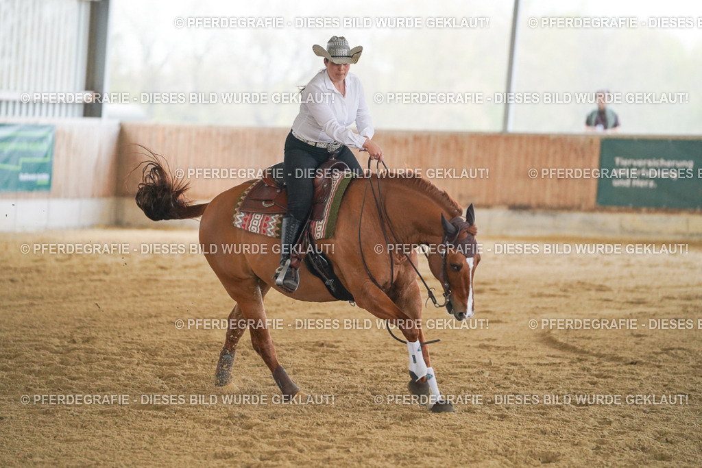 DSC08306 | Pferdegrafie