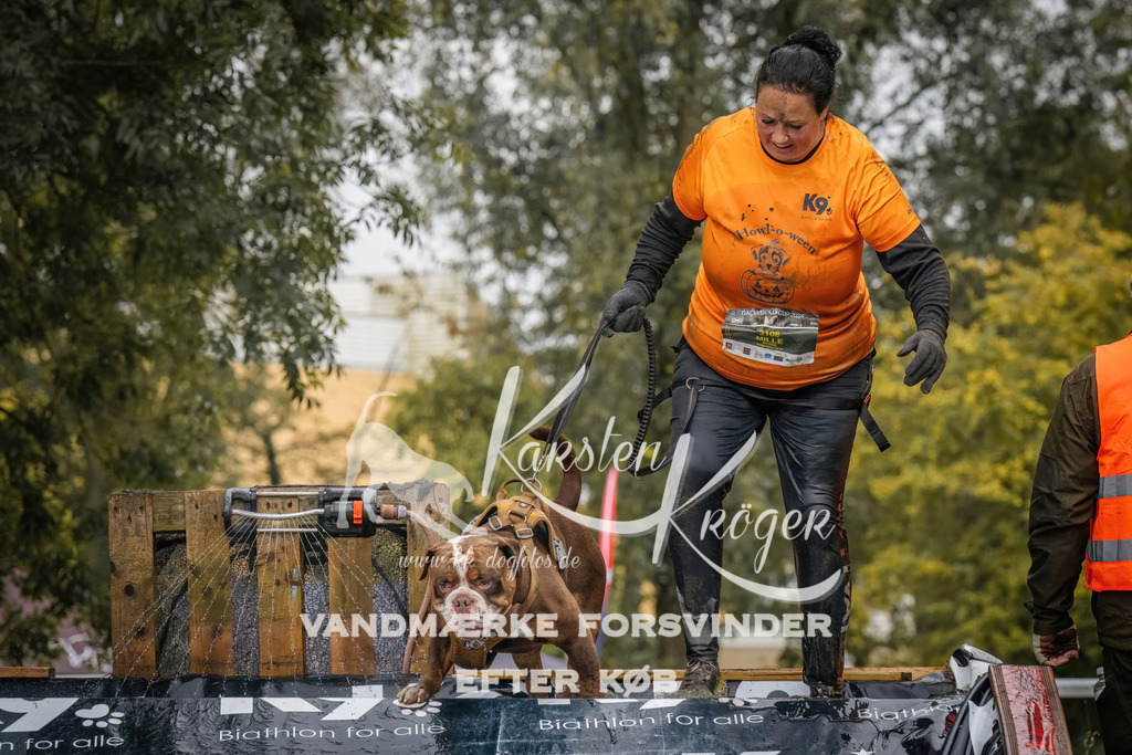 1207_ZZ94358 | kk-dogfotos