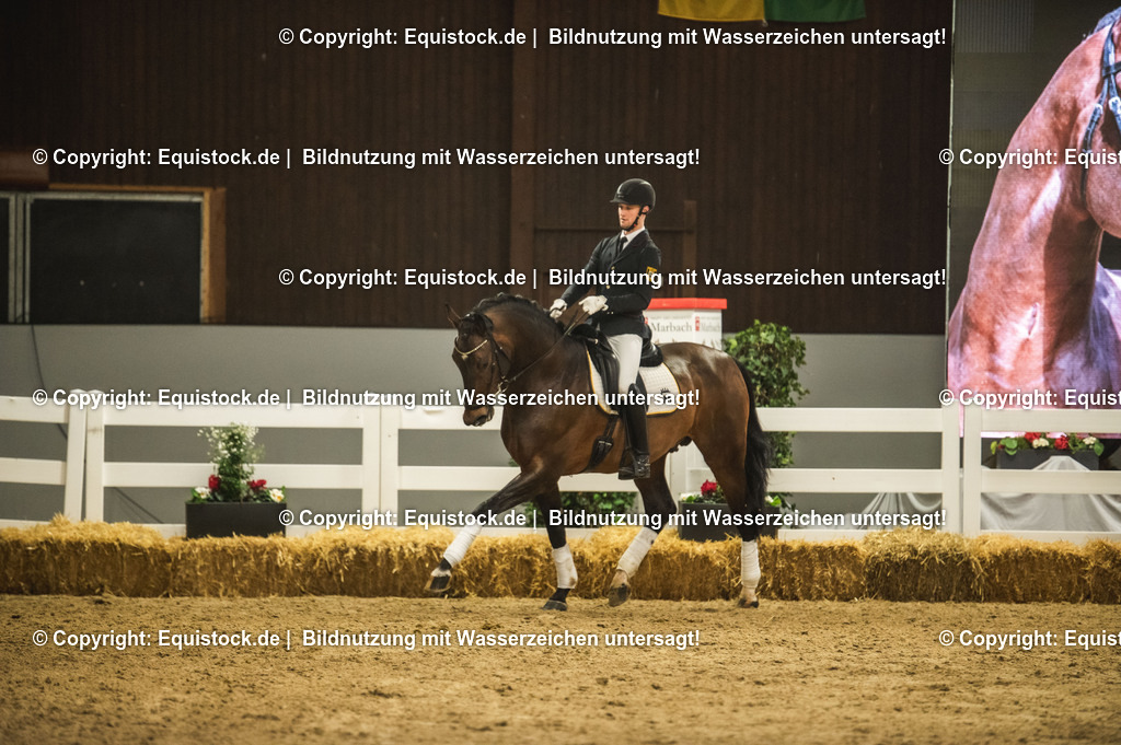 20240302_Hengstvorstellung_Marbach_TOMsPiC_1205 | equistock