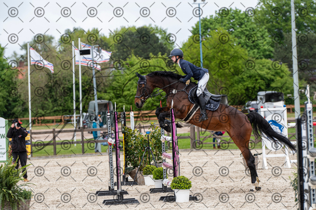 KPT_9995 | andre_photographic