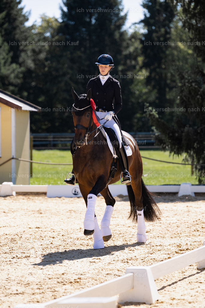 FHC2026_P12_Siegerehrung_13219 | working equitationturnier fotograf videograf stoibphotography marixx film working equitation deutschland reitsport turnierfotografie eventfotografie equestrian events