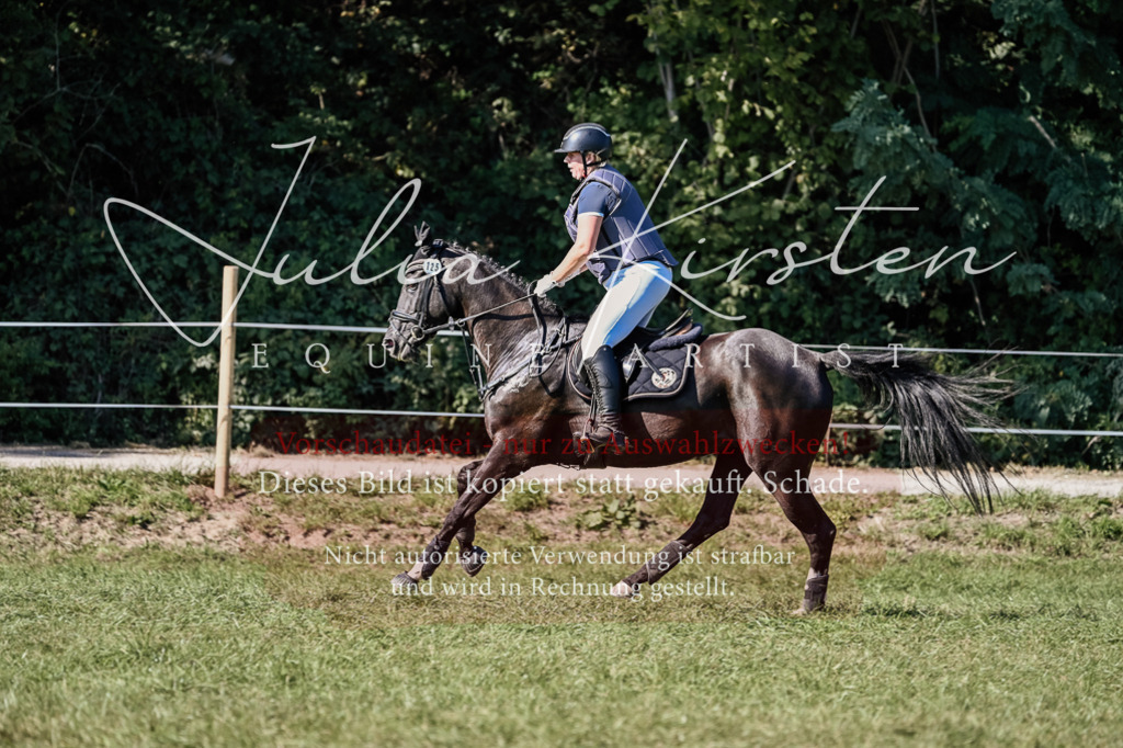 DSC_3344 | Pferde- und Turnierfotografie in Westsachsen. Pferdeportraits, Auftragszeichnungen und intuitive Kunst.