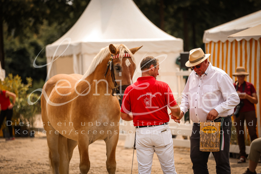 3.Sa00086 | Leoni Ertmer Photography - Realisiert mit Pictrs.com