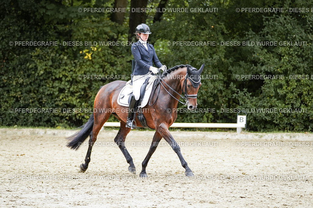 DSC01968 | Pferdegrafie