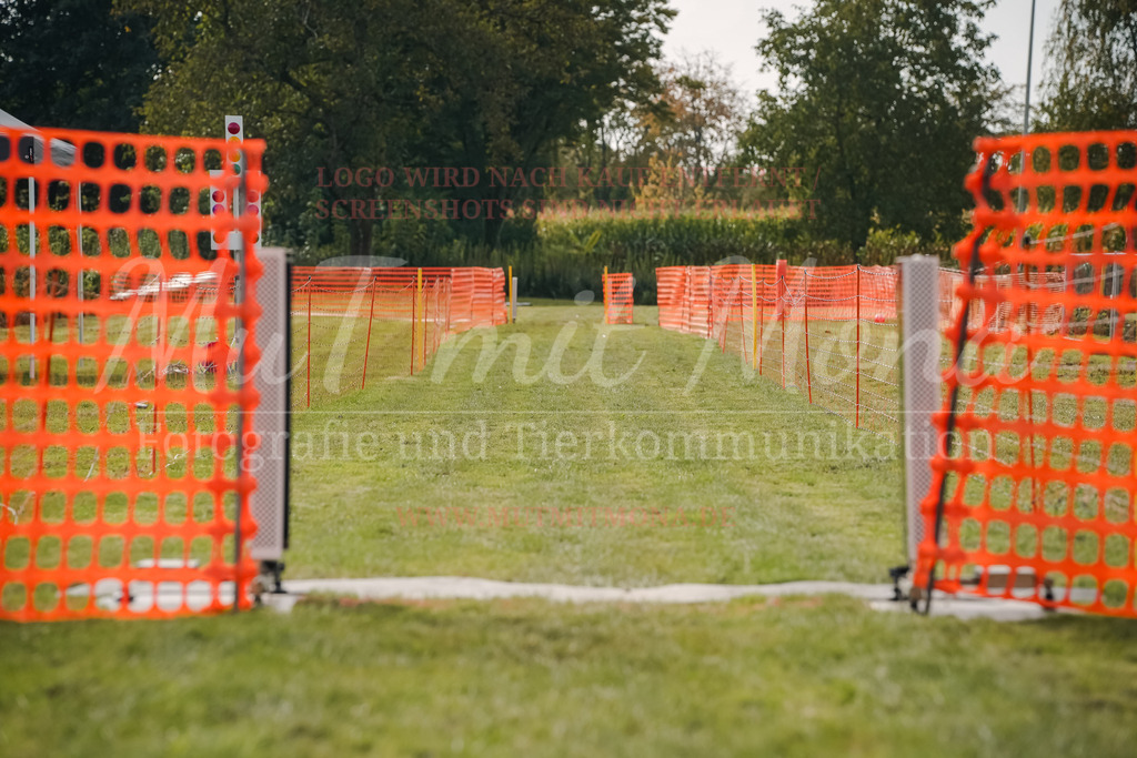 20250928_Hunderennen-356 | MuT (Mensch und Tier) mit Mona - Fotografie und Tierkommunikation - Realisiert mit Pictrs.com