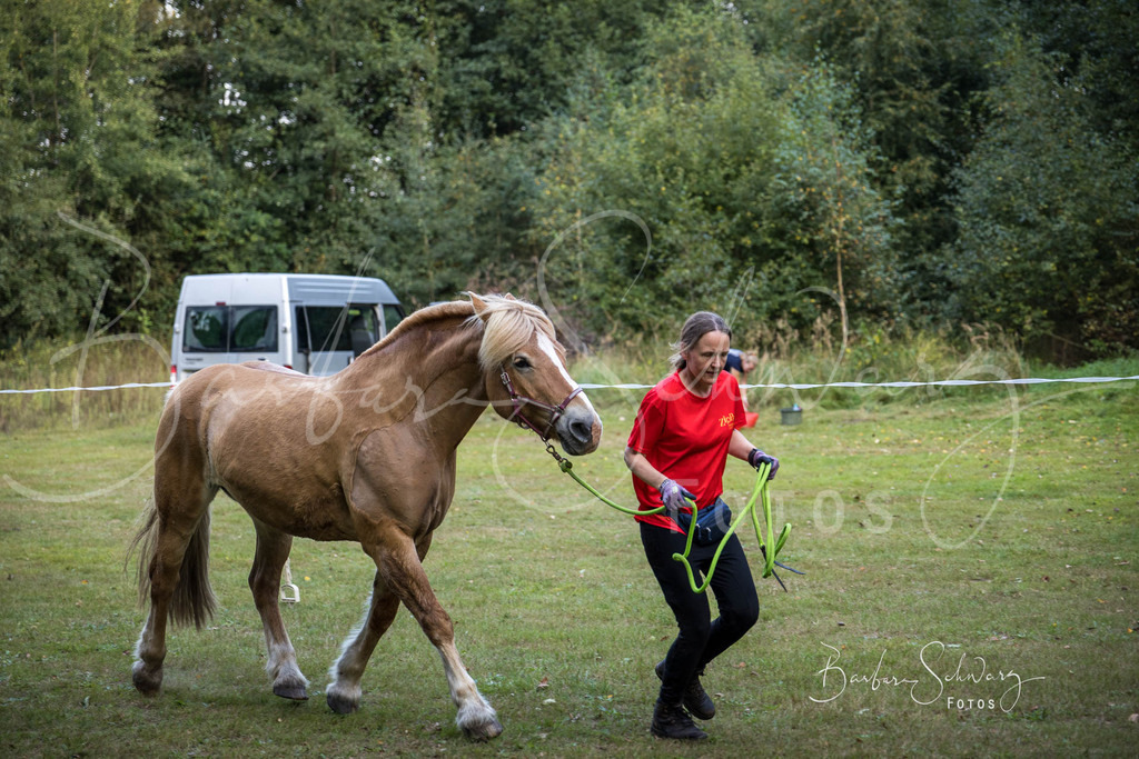 DdLH-NU_2025-09-20_22 | Fotografie, Veranstaltungs-Fotografie, Pferde-Fotografie, Landschafts-Fotografie, Reise-Fotografie - Realisiert mit Pictrs.com