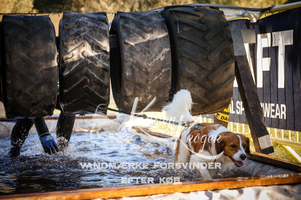 0924_ZZ90861 | kk-dogfotos