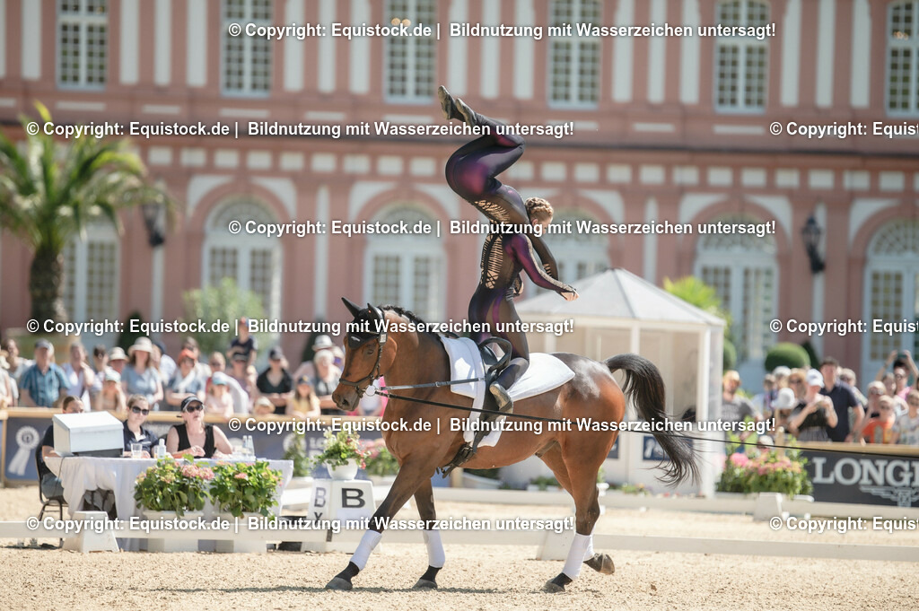 20230528_Voltigieren_NASPA_0235 | equistock