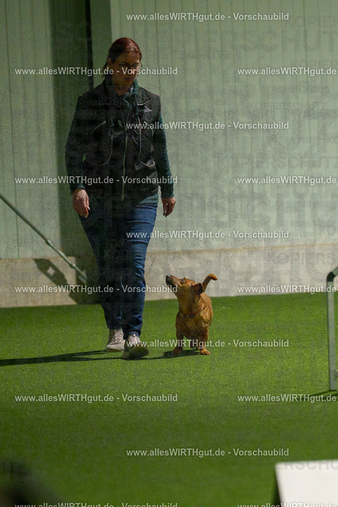 7R508647 | Professionelle Tierfotografie in Mönchengladbach von Daniel Wirth (allesWIRTHgut). Liebevolle & natürliche Bilder von Hunden & Katzen für unvergessliche Erinnerungen.