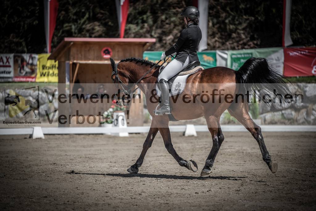 DSC_0446 | equestrian-live-com