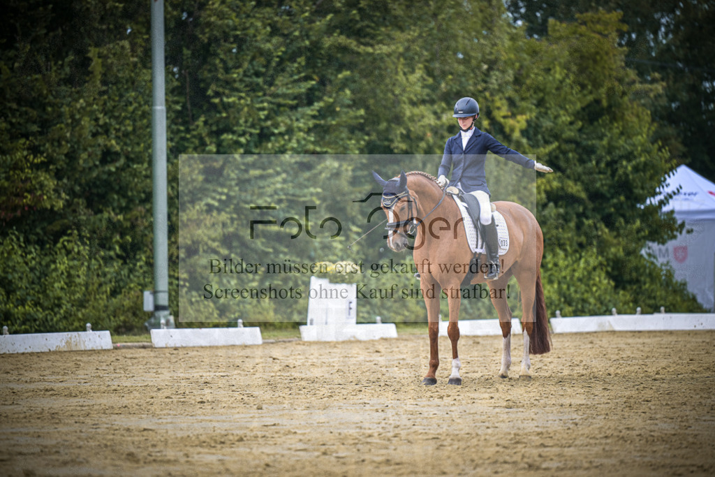DOS_9552 | Entdecke hochwertige Reitturnierfotos von Foto Oger. Professionell, emotional und authentisch – jetzt Lieblingsmomente im Shop bestellen.Deutschlandweite Turnierfotografie. - Realisiert mit Pictrs.com