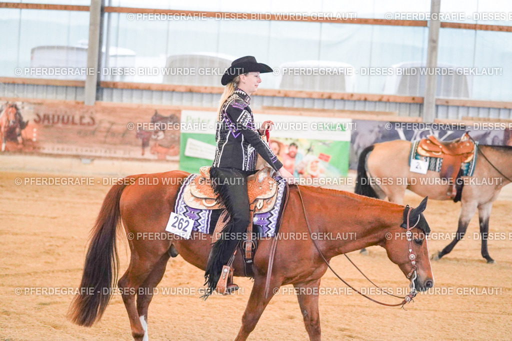 DSC08899 | Pferdegrafie