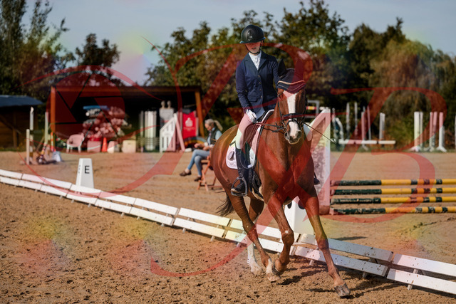 2026_10_03_Siefer-Hof_123712_Z63_55267726 | Professionelle Reitsport-, Turnier- und Eventfotografie von Robert Broda. Galerien mit ausgewählten und bearbeiteten Bildern direkt online ansehen und bestellen.