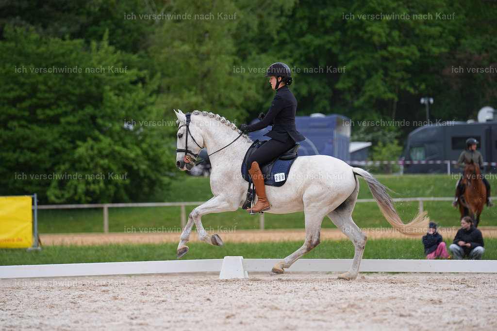 PI26_DR_267_StoibphotographySIN09912.jpg | working equitationturnier fotograf videograf stoibphotography marixx film working equitation deutschland reitsport turnierfotografie eventfotografie equestrian events