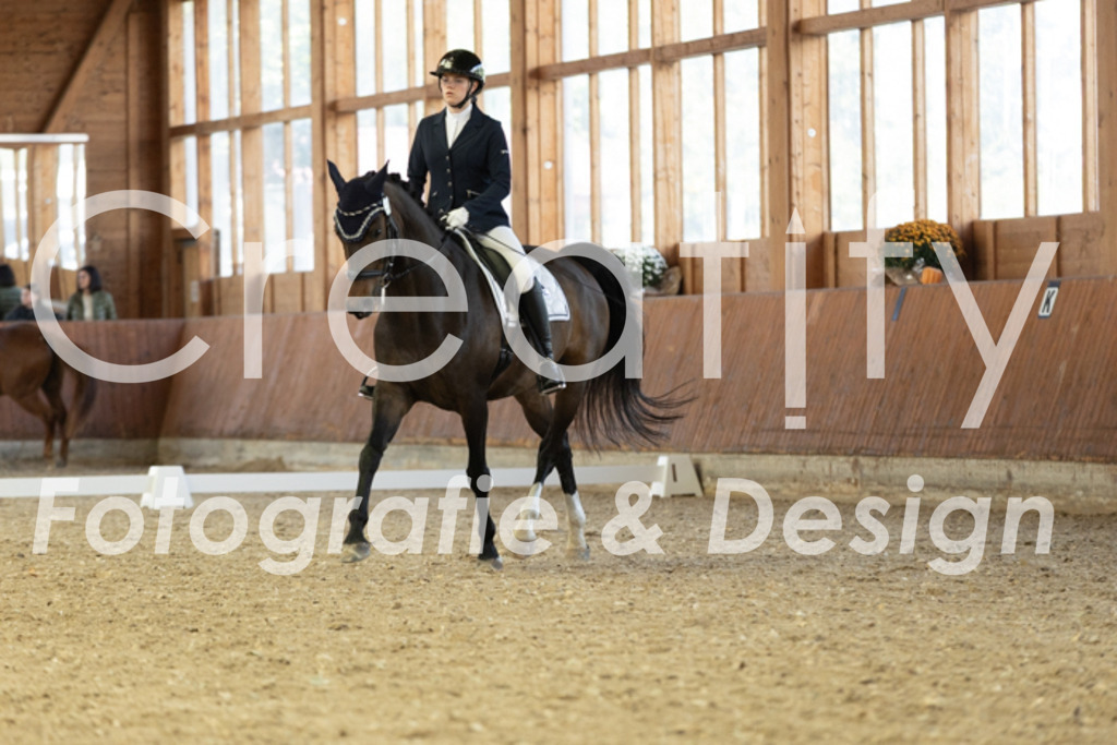 IMG_4764 | Creatify Fotografie