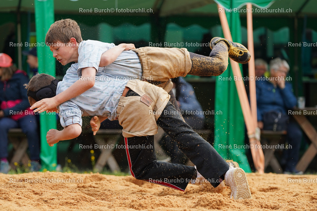 20220423-DSC07932 (2) | René Burch leidenschaftlicher Fotograf aus Kerns in Obwalden.  Hier finden sie Sport, Landschaft und Natur Fotografie.
 - Realisiert mit Pictrs.com