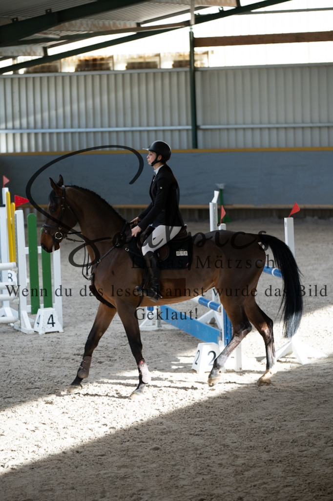 A7V02375 | Pferdefotograf