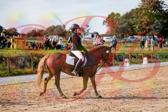 2026_10_03_Siefer-Hof_122017_Z63_42706526 | Professionelle Reitsport-, Turnier- und Eventfotografie von Robert Broda. Galerien mit ausgewählten und bearbeiteten Bildern direkt online ansehen und bestellen.